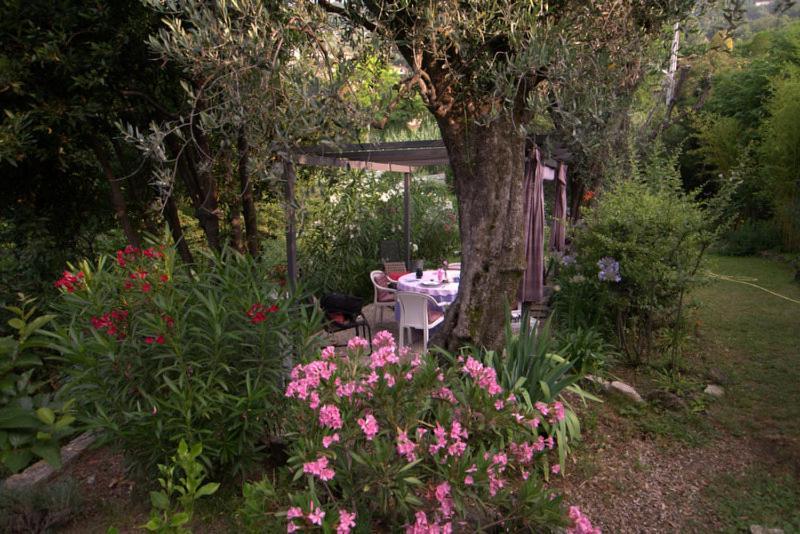 Bastide De La Lauve Acomodação com café da manhã Magagnosc Exterior foto