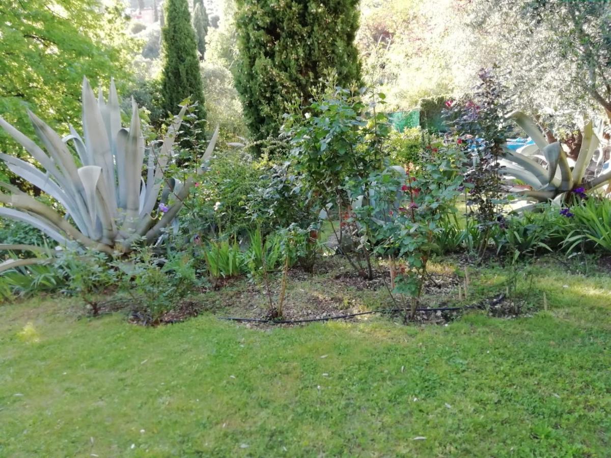 Bastide De La Lauve Acomodação com café da manhã Magagnosc Exterior foto